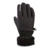 Dakine Alero Ski Glove - Women's