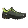 Salewa Men's Alp Trainer 2 GTX Hiking Shoe -Campman Sales Store Alp Trainer 2 GTX G1 46202.1665092079