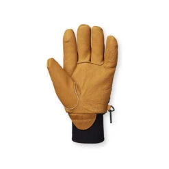 Flylow Tough Guy Glove -Campman Sales Store F23 Tough Guy Glove Pine Back 57386.1696966900