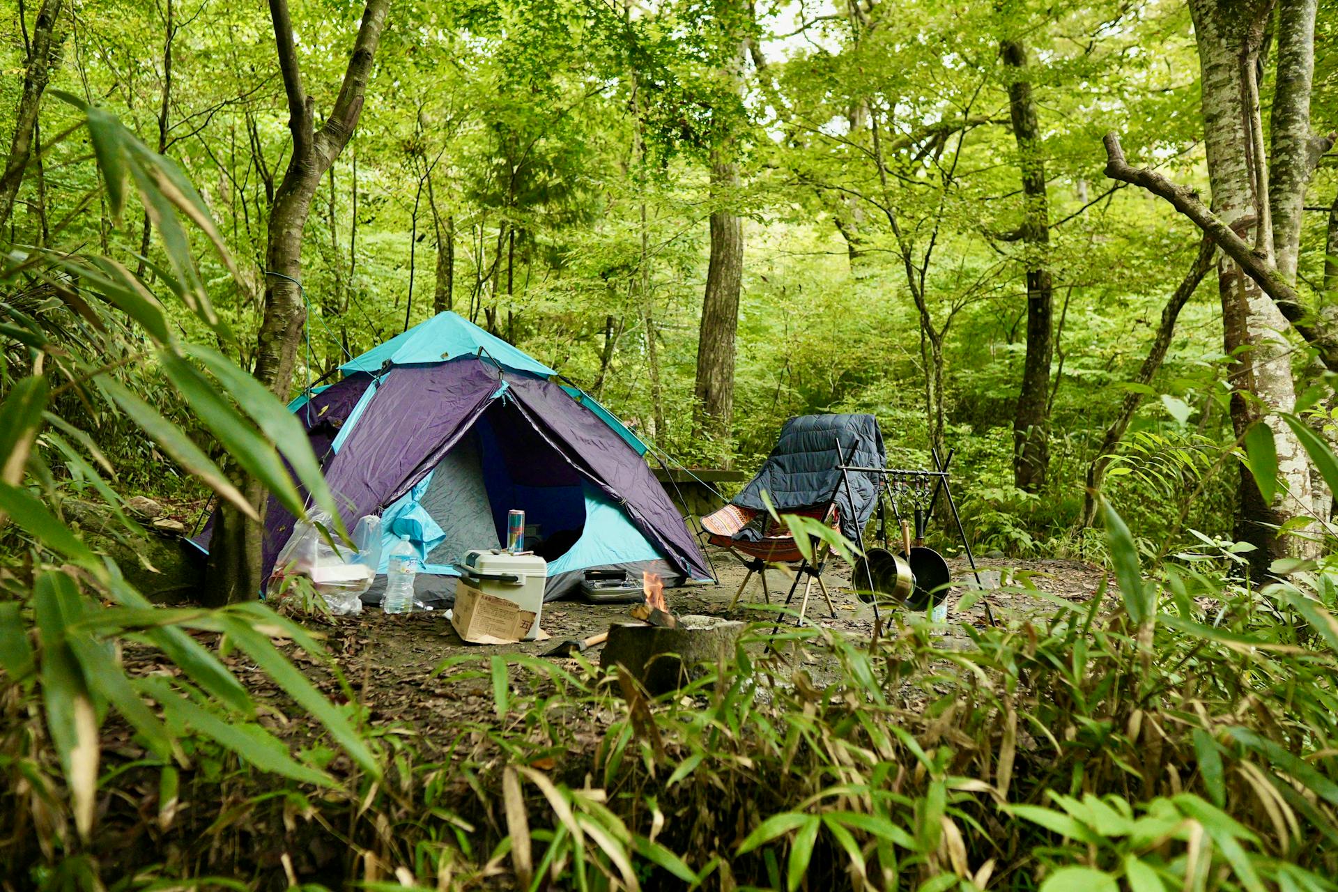 Campman Sales Store -Campman Sales Store pexels the duluwa 154796858 18756397