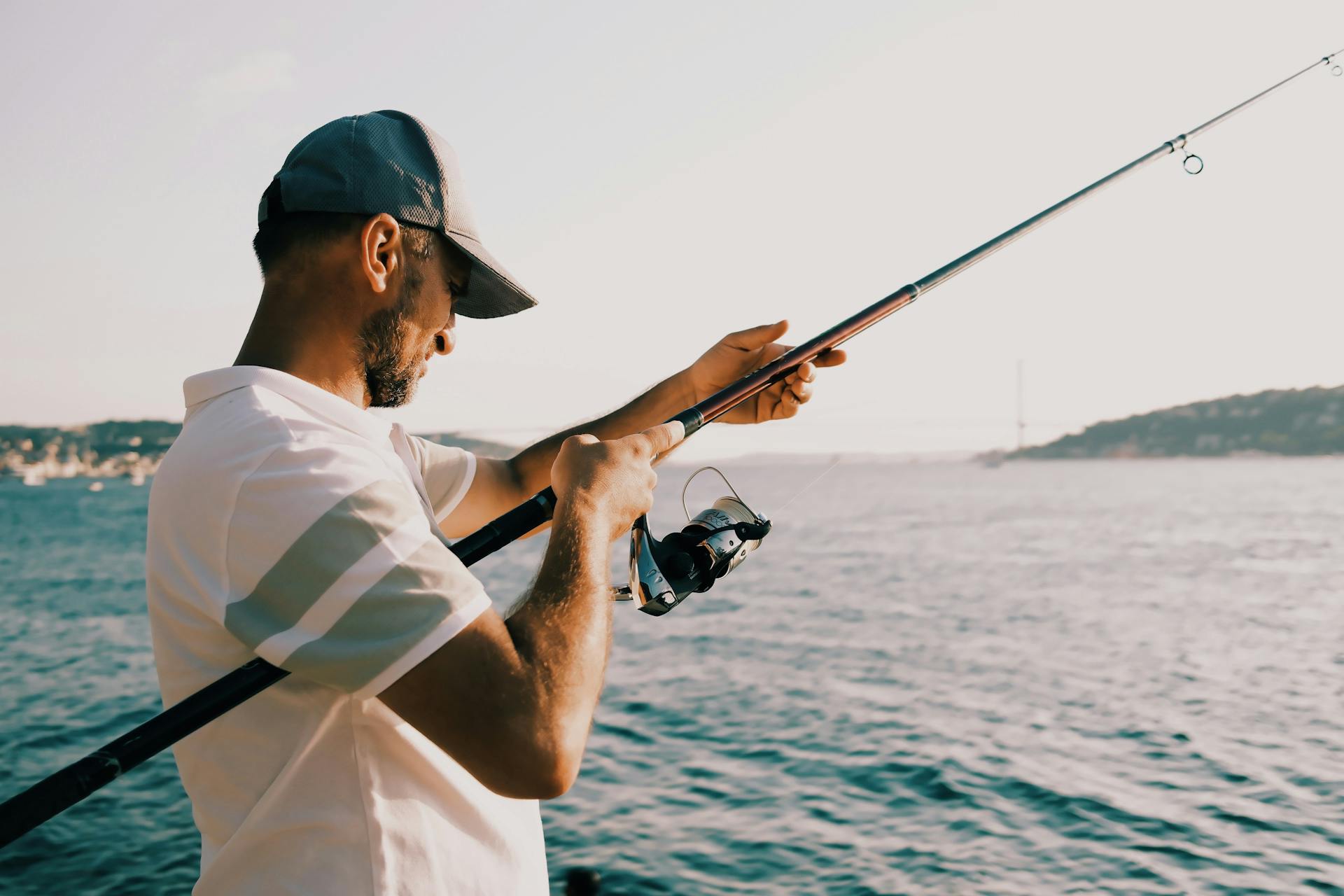 Campman Sales Store -Campman Sales Store pexels trksami 33294196